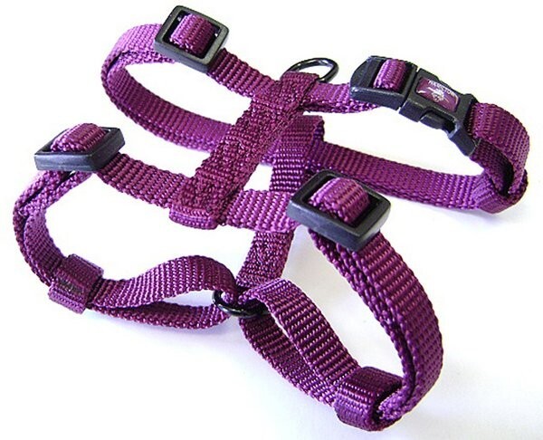 Hamilton Dog Harness, Fully Adjustable Wine, Small