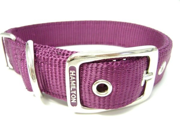 Hamilton Double Thick Nylon Dog Collar Wine, 20"