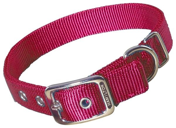 Hamilton Double Thick Nylon Dog Collar Red, 24"