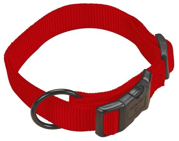 Hamilton Adjustable Dog Collar, Red, 1"
