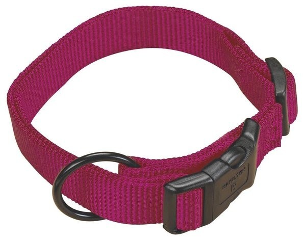 Hamilton Adjustable Dog Collar, Wine, 1"