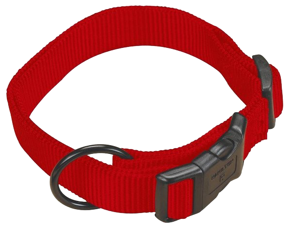 Hamilton Adjustable Dog Collar, Red, 5/8"