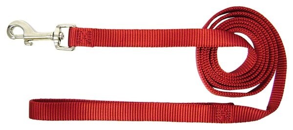 Hamilton Single Thick Deluxe Nylon Lead Red, 5/8"