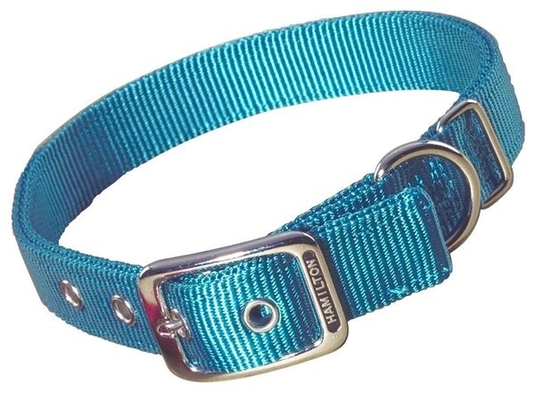 Hamilton Double Thick Nylon Dog Collar, Teal, 20"
