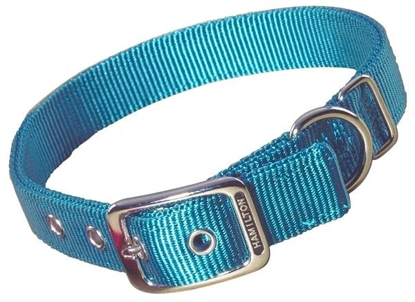 Hamilton Double Thick Nylon Dog Collar, Teal, 24"