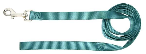 Hamilton Single Thick Deluxe Nylon Lead Teal, 5/8"