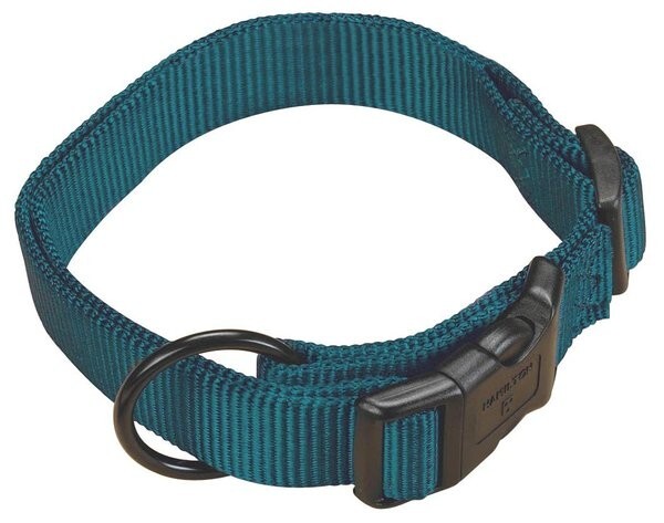 Hamilton Adjustable Dog Collar, Teal, 1"