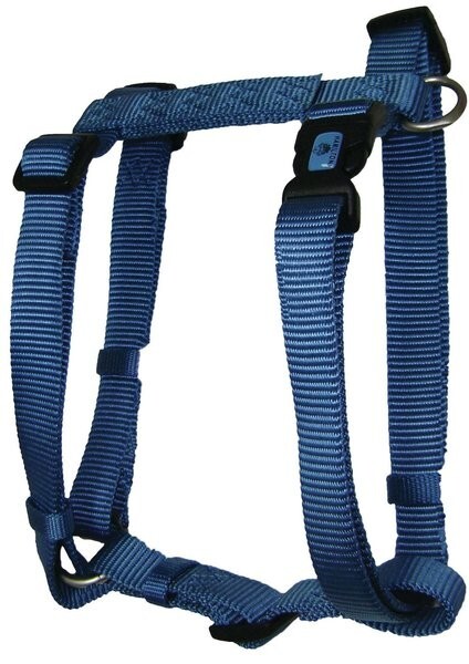 Hamilton Dog Harness, Fully Adjustable Ocean Blue, Small