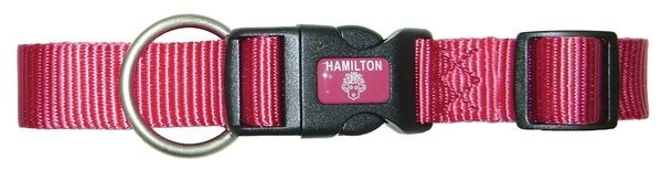 Hamilton Adjustable Dog Collar, Raspberry, 1"