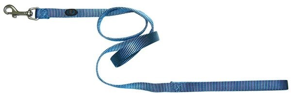 Hamilton Single Thick Deluxe Nylon Lead Ocean Blue, 5/8"