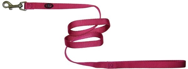 Hamilton Single Thick Deluxe Nylon Lead Raspberry, 5/8"
