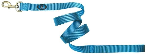 Hamilton Single Thick Deluxe Nylon Lead Ocean Blue, 1"