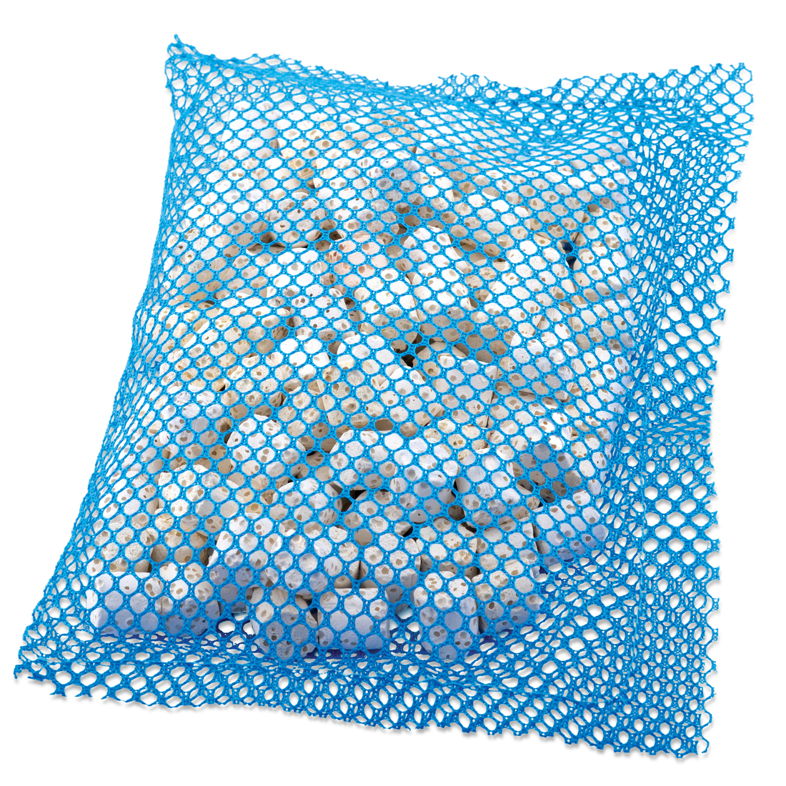 Fluval AC 70/110 BioMax Insert, 1 Pack
