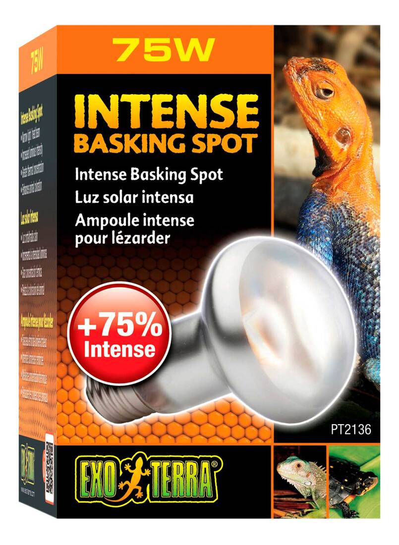 Exo Terra Intense Basking Spot Lamp, 75 Watt