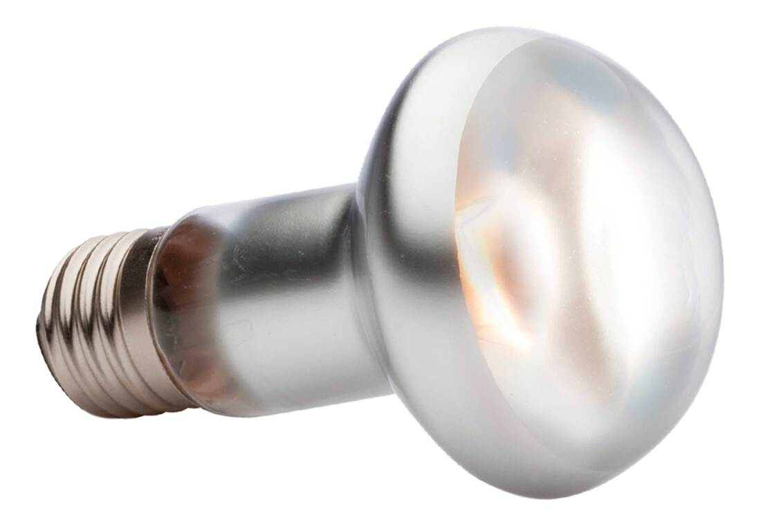 Exo Terra Intense Basking Spot Lamp, 75 Watt