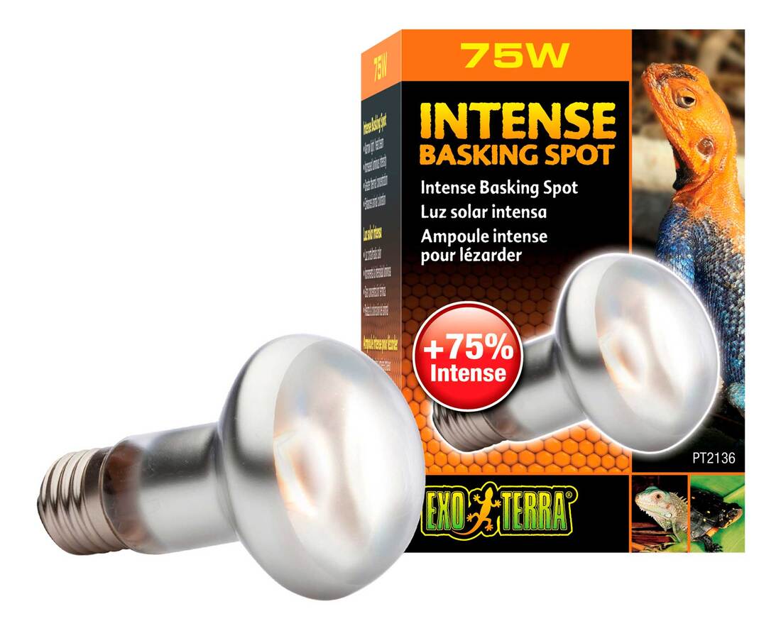 Exo Terra Intense Basking Spot Lamp, 75 Watt