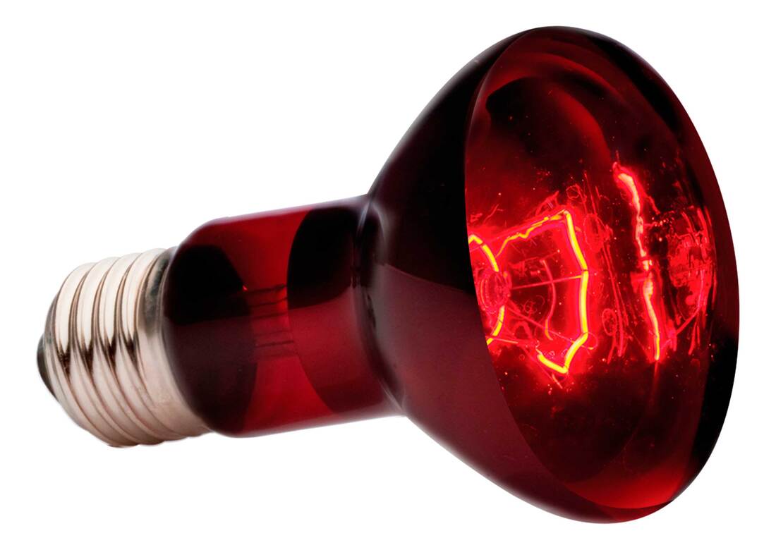 Exo Terra Infrared Basking Spot Lamp, 50 Watt