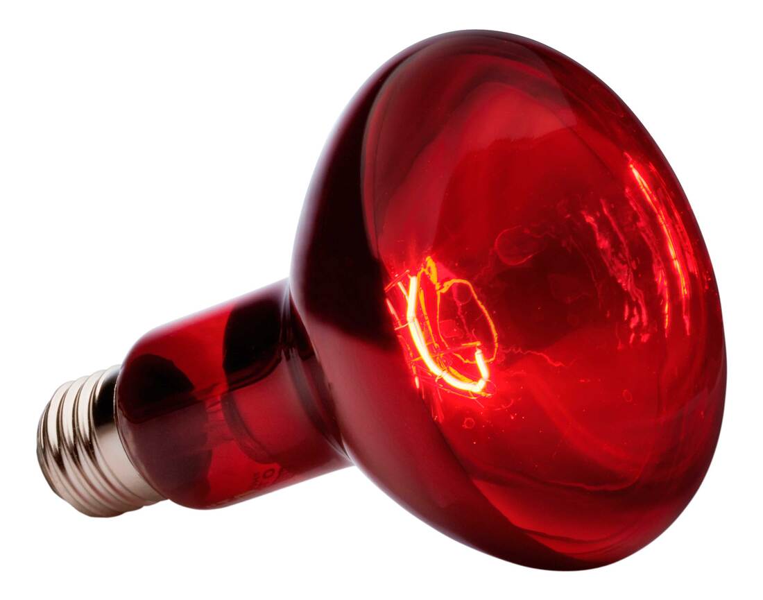 Exo Terra Infrared Basking Spot Lamp, 150 Watt
