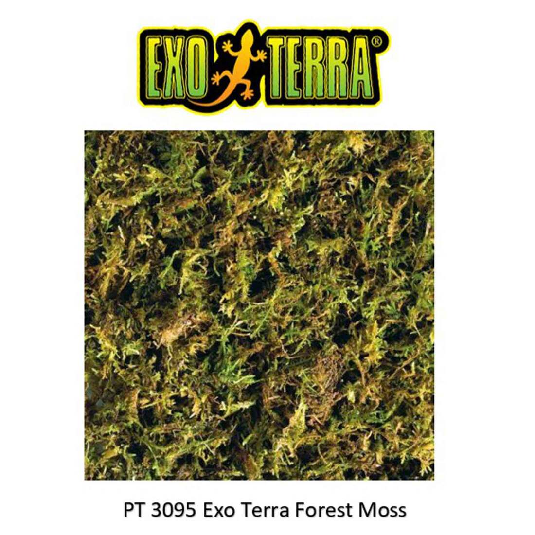 ExoTerra Forest Plume Moss