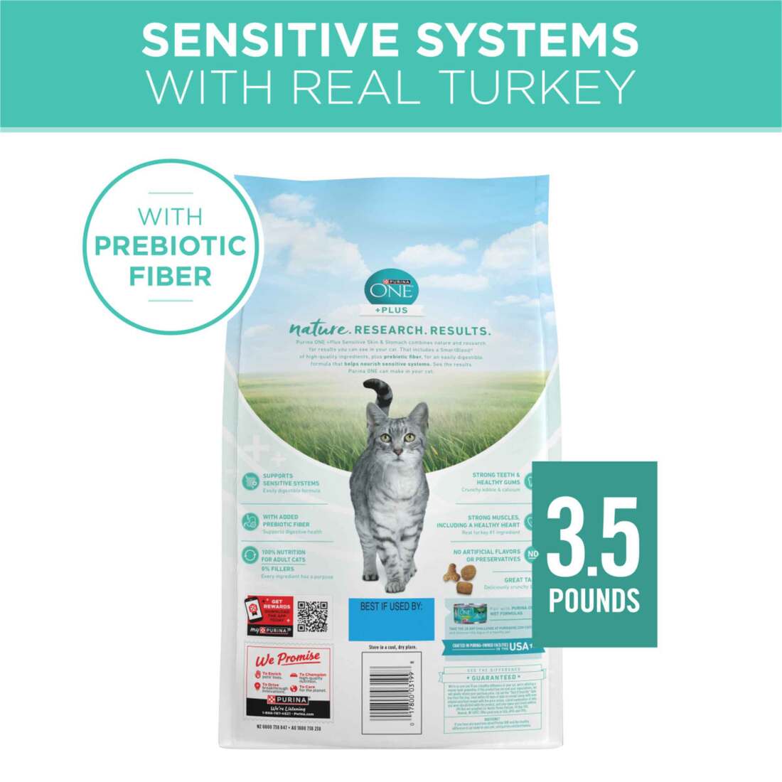 Purina ONE Sensitive Stomach, Sensitive Skin, Natural Dry Cat Food, +Plus  Sensitive Skin and Stomach | Pet Supplies Plus