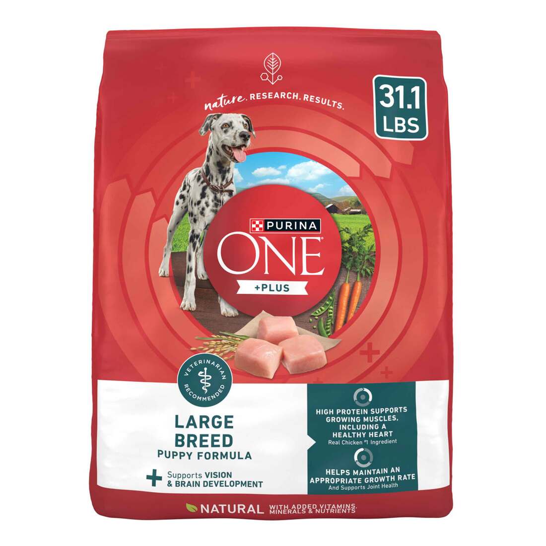 Purina ONE Plus Large Breed Puppy Food Dry Formula Pound