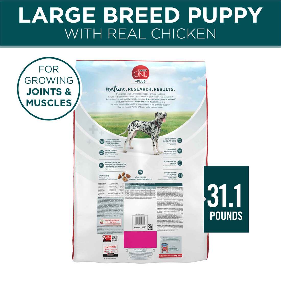 iams dog food good for dogs Iams Lamb & Rice | Free* NJ Local Delivery
