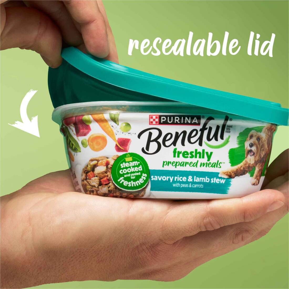Purina Beneful Chopped Blends With Lamb Brown Rice Carrots Tomatoes & Spinach Adult Wet Dog Food - 10 oz. Plastic Tub