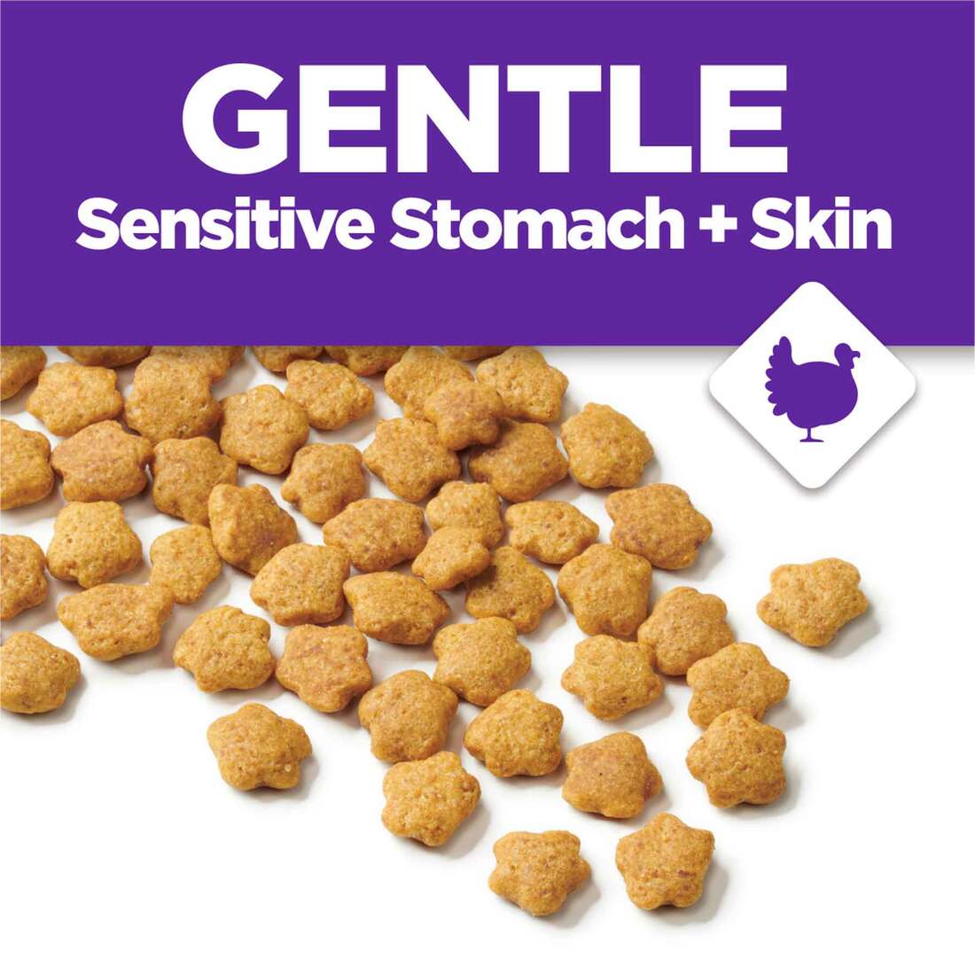 Purina Cat Chow Gentle Sensitive Stomach and Skin Dry Cat Food with Turkey  - 13 Pound Bag | Pet Supplies Plus