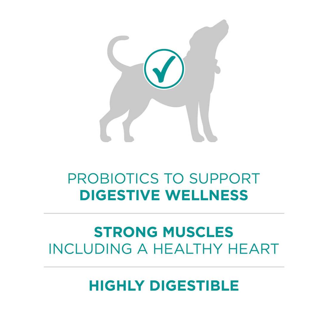 Purina One Plus Digestive Health Formula Dry Dog Food Natural with Added Vitamins, Minerals and Nutr