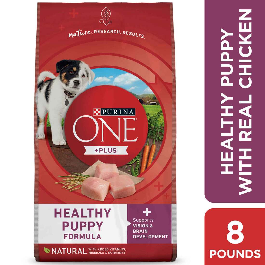 Purina ONE Plus Healthy Puppy Formula High Protein Natural Dry Puppy Food - 8 Pound Bag