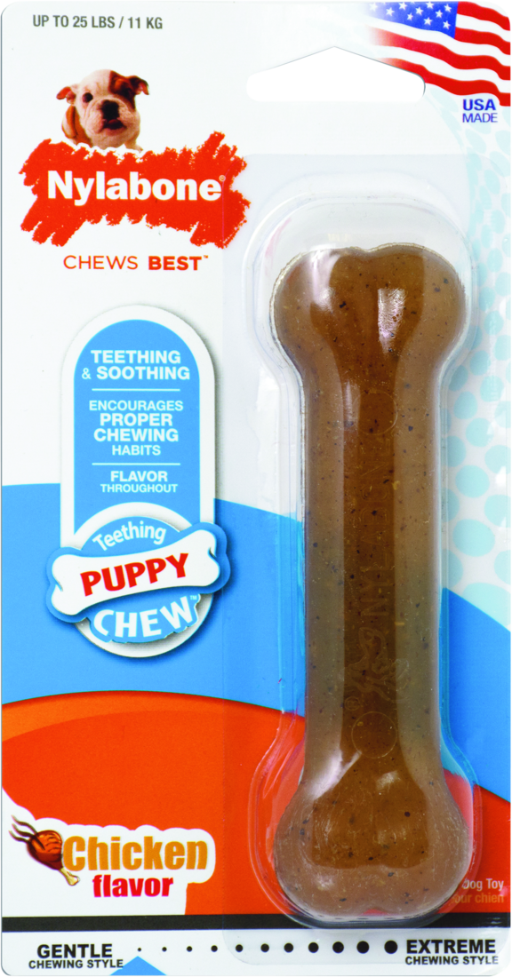 Nylabone Puppy Chew Chicken Flavor Regular Size Chew Toy