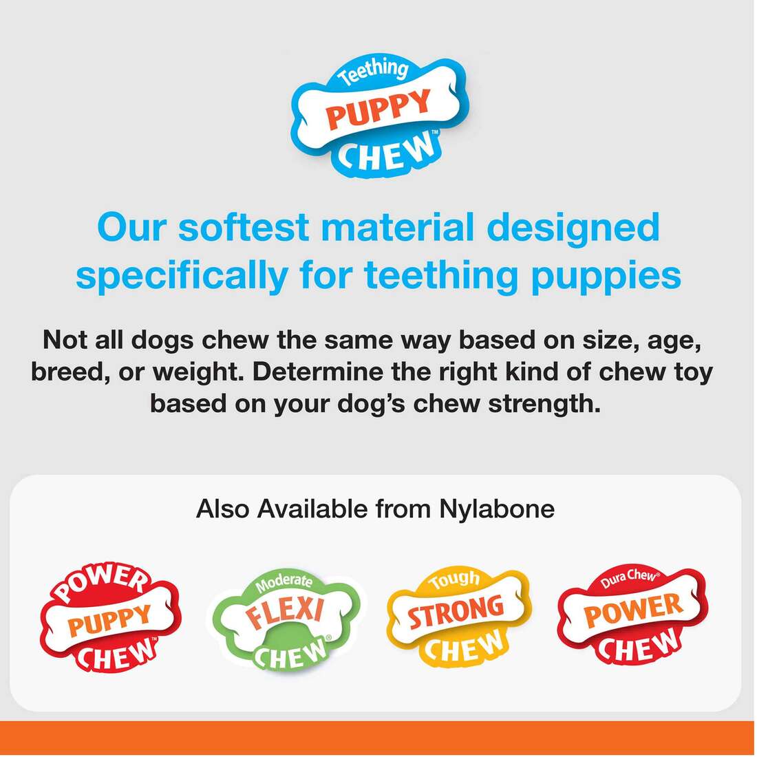Nylabone Puppy Chew Chicken Flavor Regular Size Chew Toy