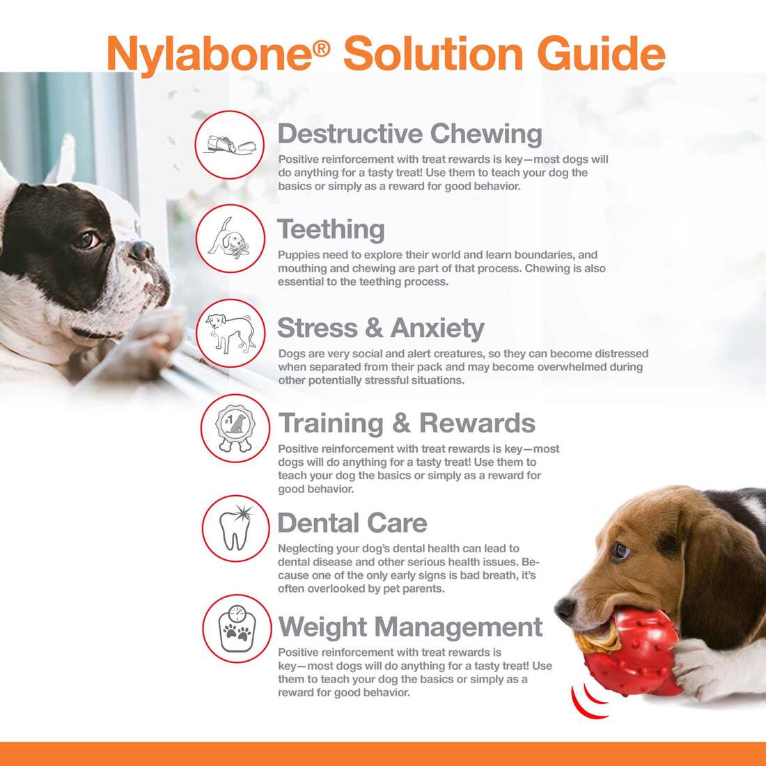 Nylabone Puppy Chew Chicken Flavor Souper Size Chew Toy