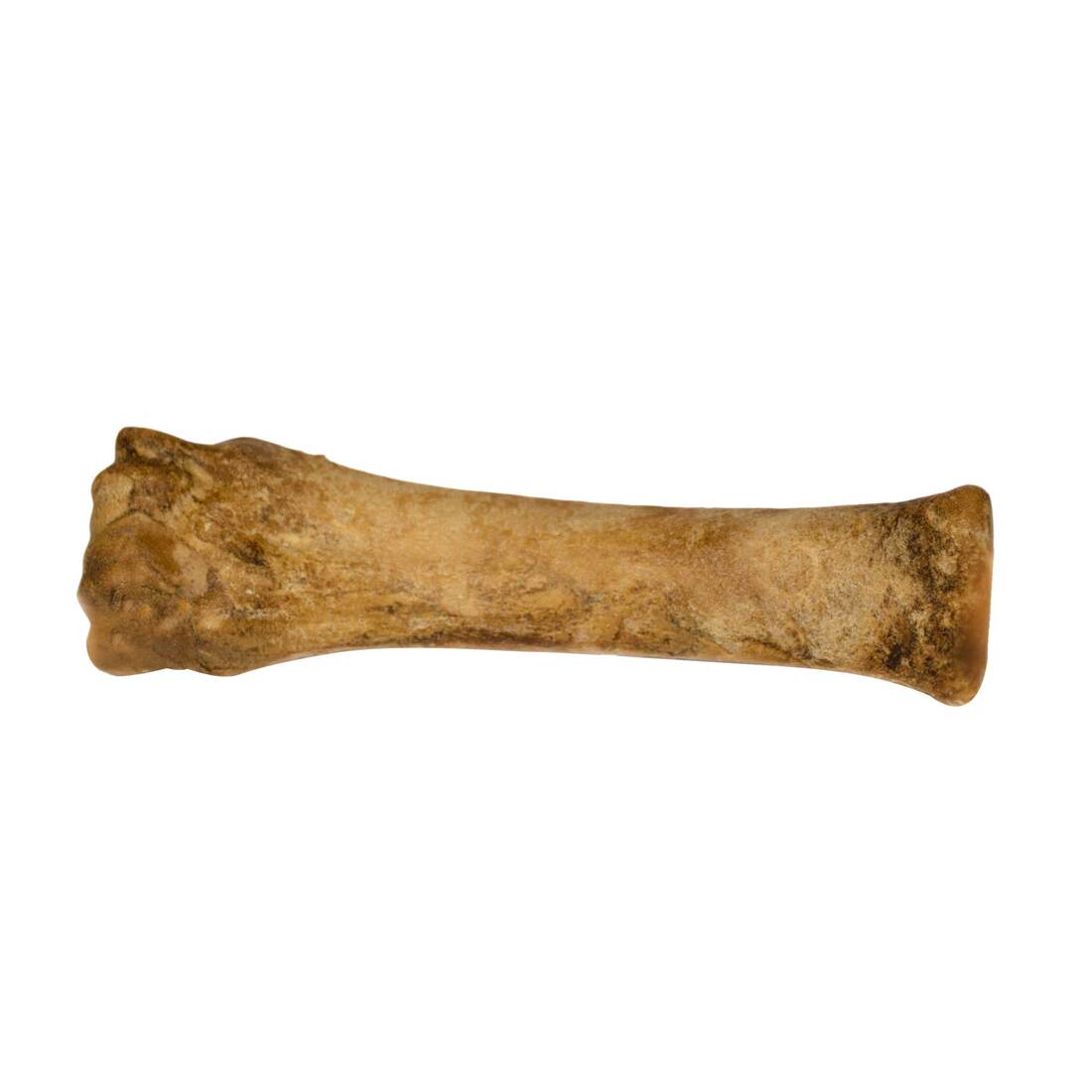 Nylabone Healthy Edibles Roast Beef Bone Souper