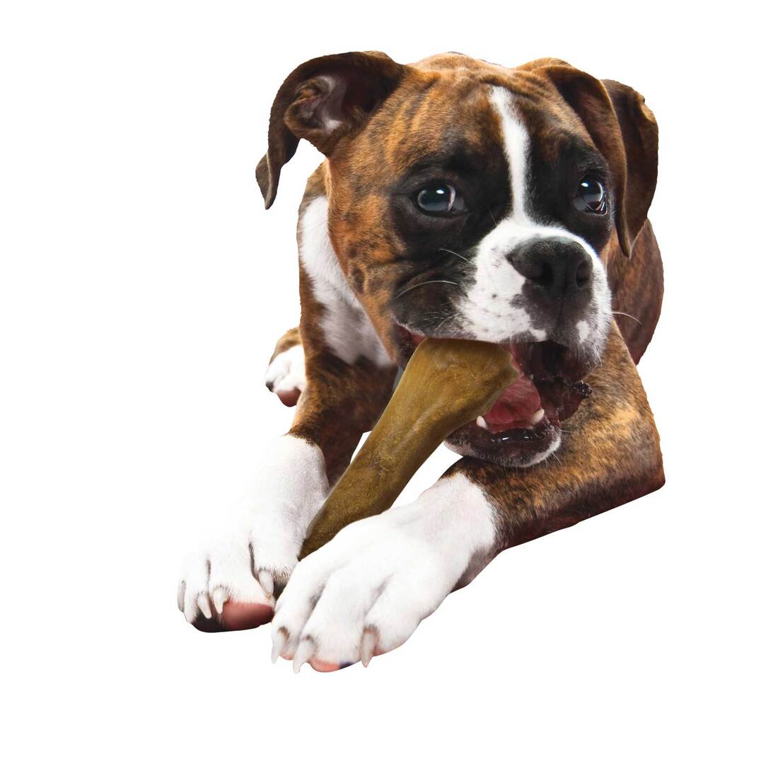 Nylabone Healthy Edibles Roast Beef Bone Souper
