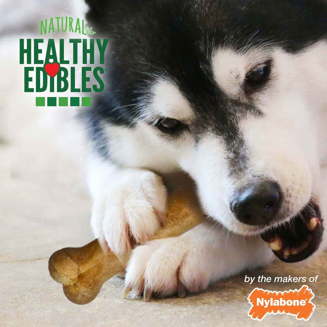 Nylabone Edibles Roast Beef Wolf Two Pack