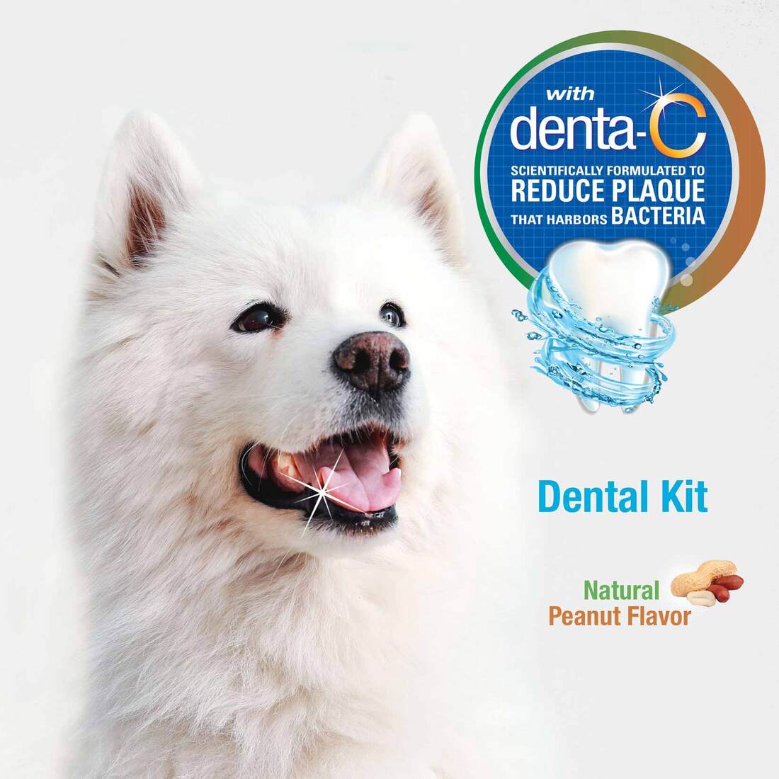 Nylabone Advanced Oral Care Natural Dog Dental Kit, Adult Dog, Peanut Butter, 3 Count