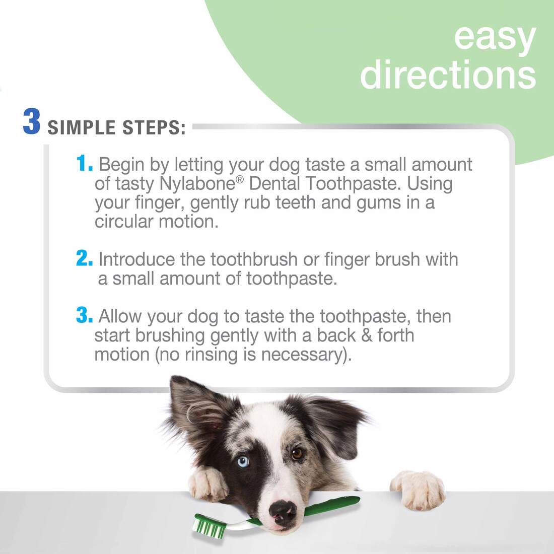 Nylabone Advanced Oral Care Natural Dog Dental Kit, Adult Dog, Peanut Butter, 3 Count