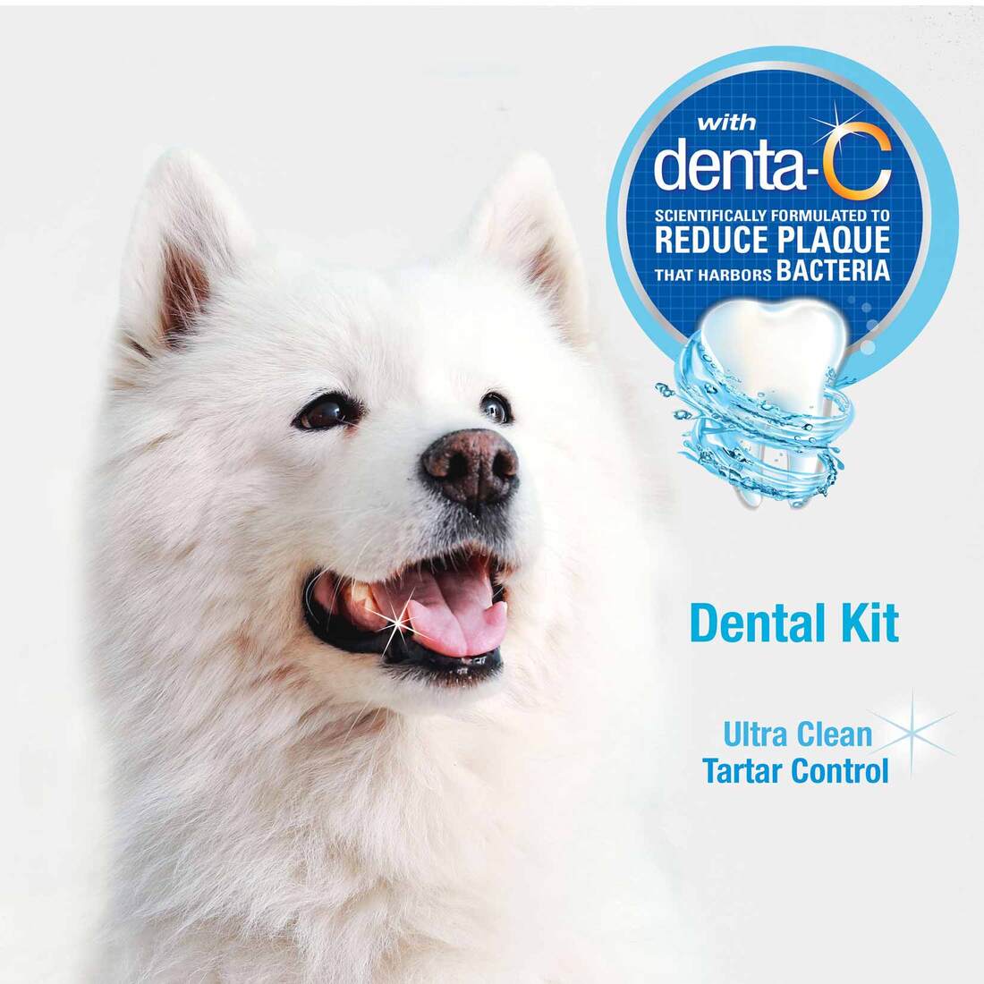 Nylabone Advanced Oral Care Dog Dental Kit, Adult Dog, Original, 3 Count