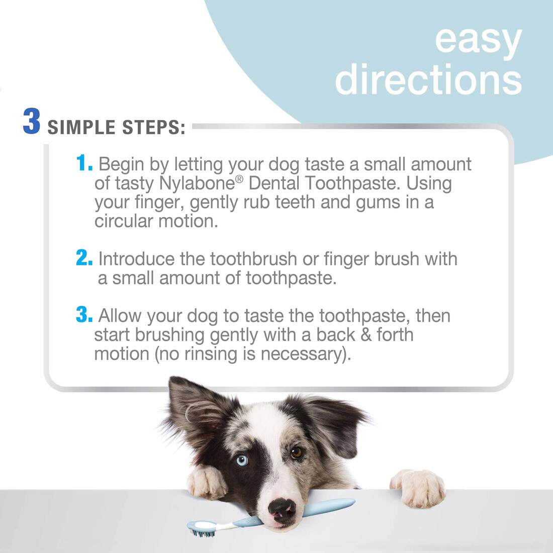 Nylabone Advanced Oral Care Dog Dental Kit, Adult Dog, Original, 3 Count