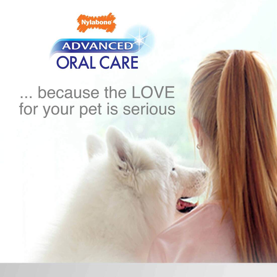 Nylabone Advanced Oral Care Dog Dental Kit, Adult Dog, Original, 3 Count