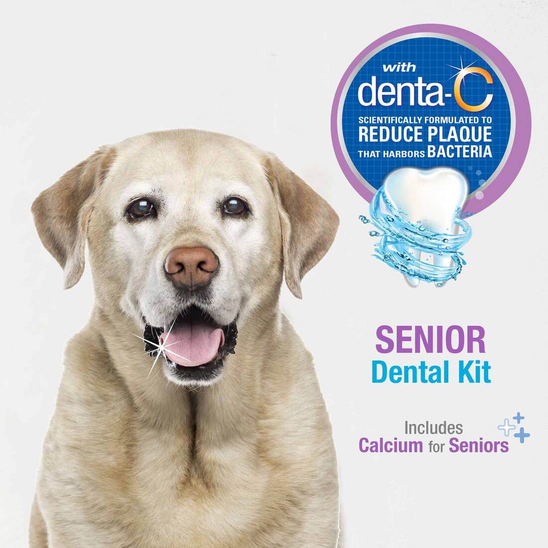 Nylabone Advanced Oral Care Senior Dog Dental Kit, Bacon, 3 Count