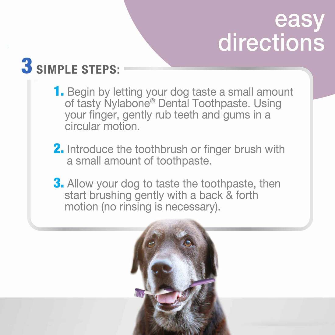 Nylabone Advanced Oral Care Senior Dog Dental Kit, Bacon, 3 Count