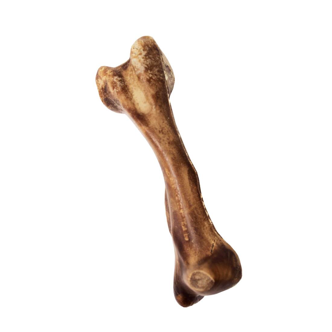 Nylabone Edible Healthy Wild Biso, Large