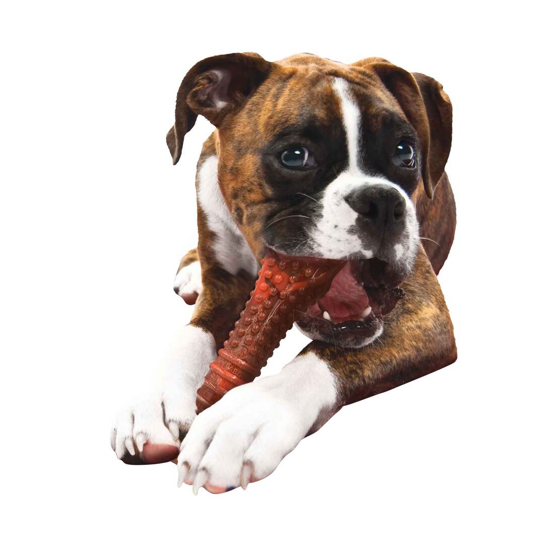 Nylabone Power Chew Textured Beef Jerky Flavor Dog Chew Toy