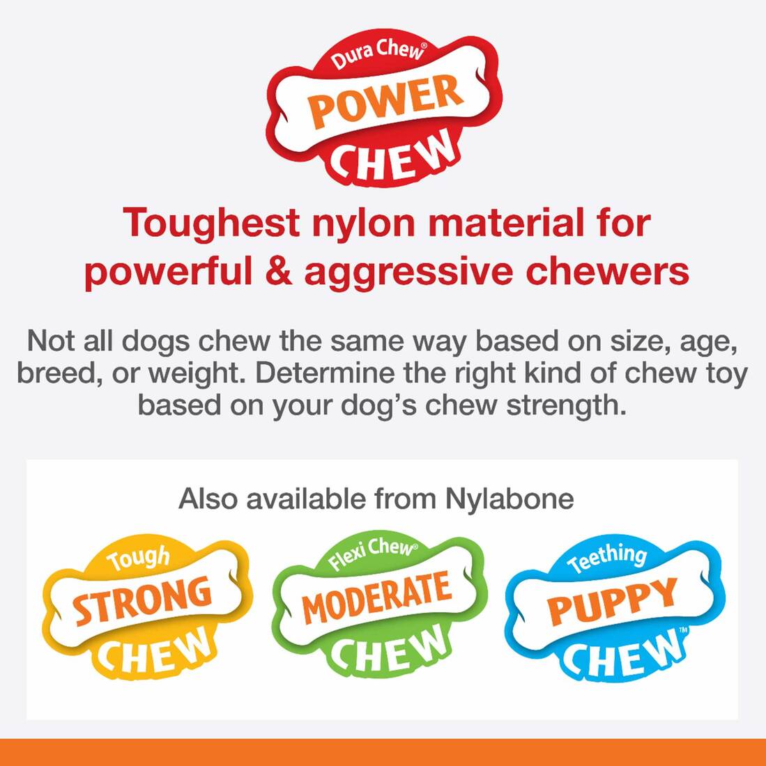 Nylabone Power Chew Textured Beef Jerky Flavor Dog Chew Toy