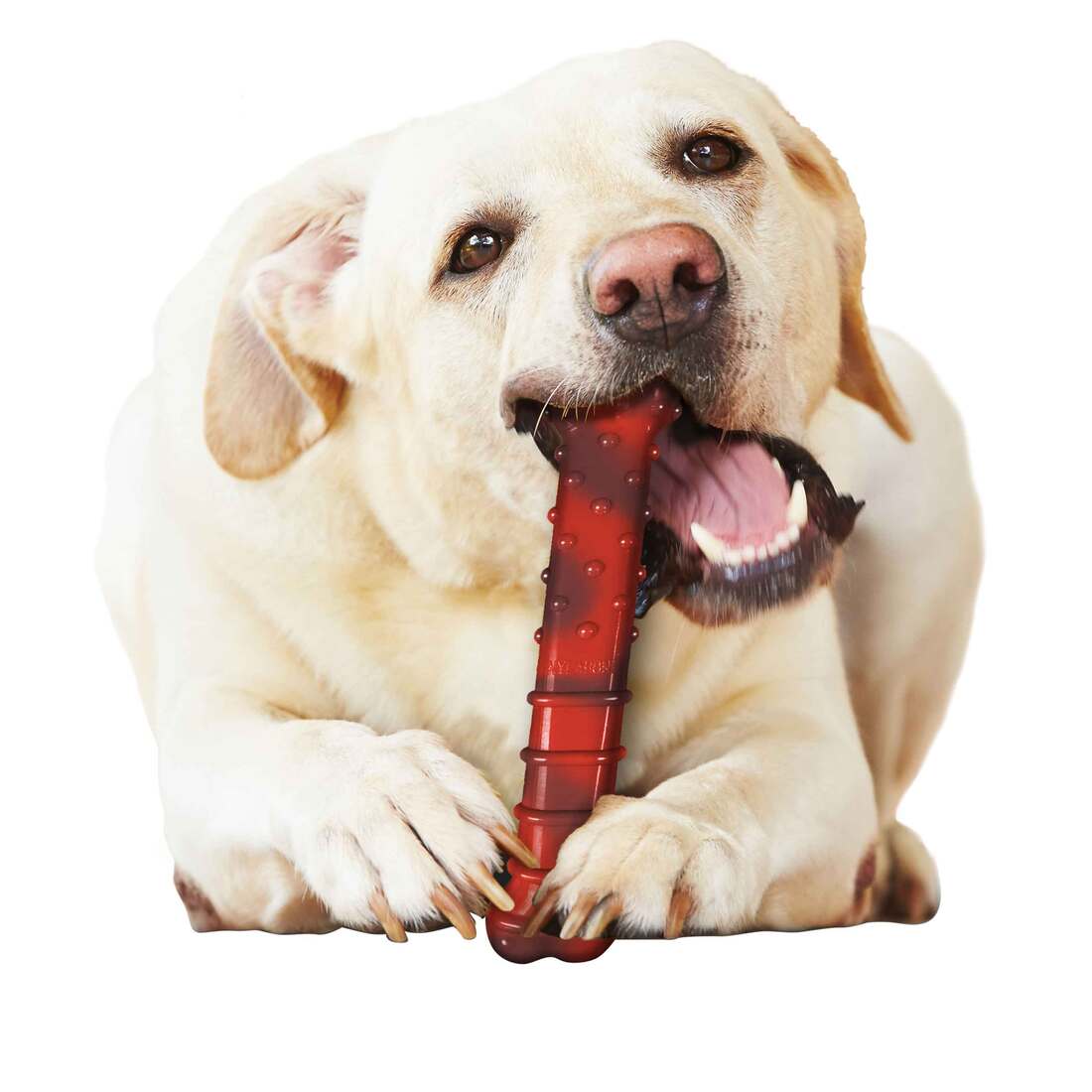 Nylabone Power Chew Textured Beef Jerky Flavor