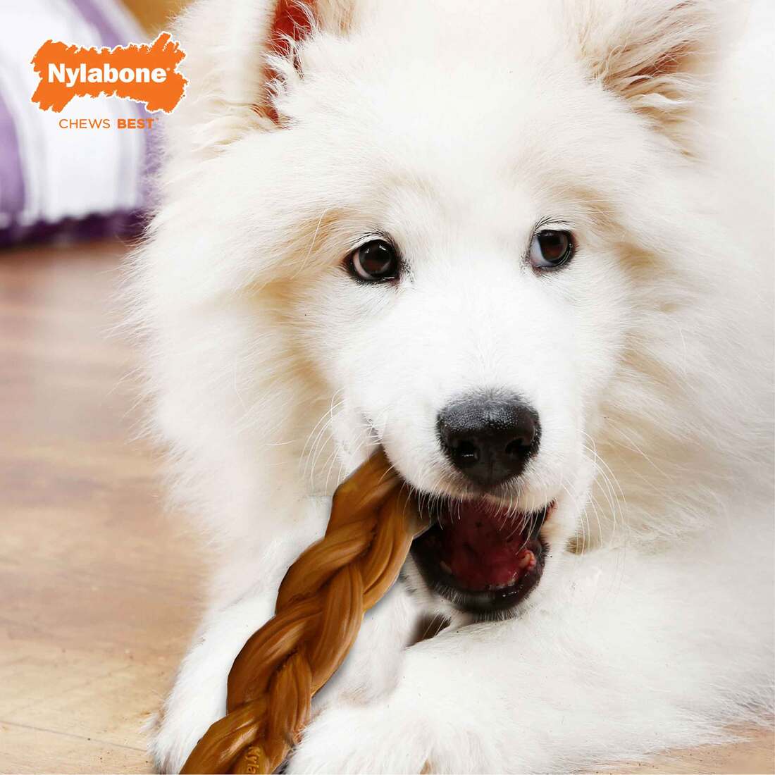 Nylabone Power Chew Alternative Braided Bully Stick