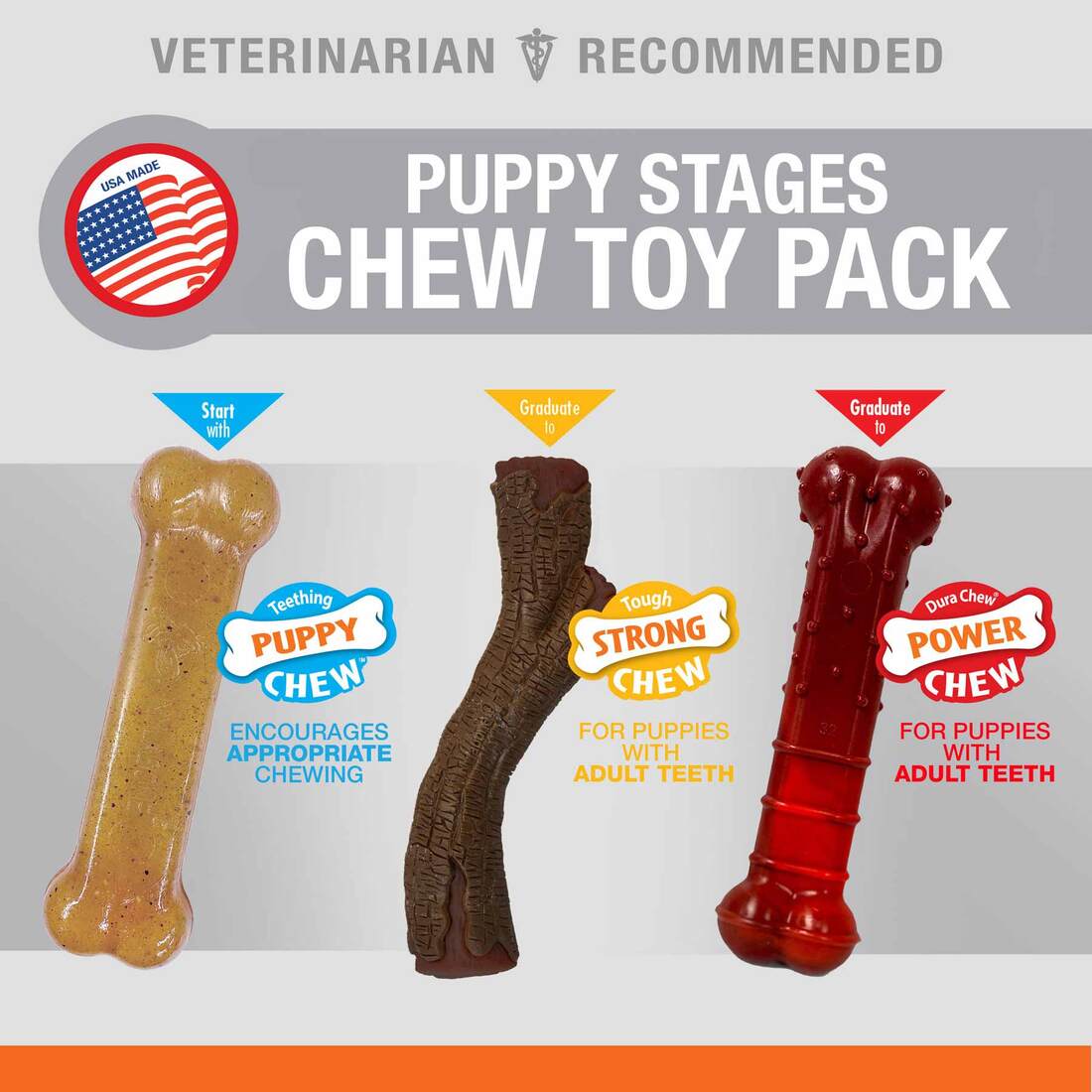 Nylabone Puppy Chew Stages Triple Chew Toy Pack, Medium/Wolf, 3 Count