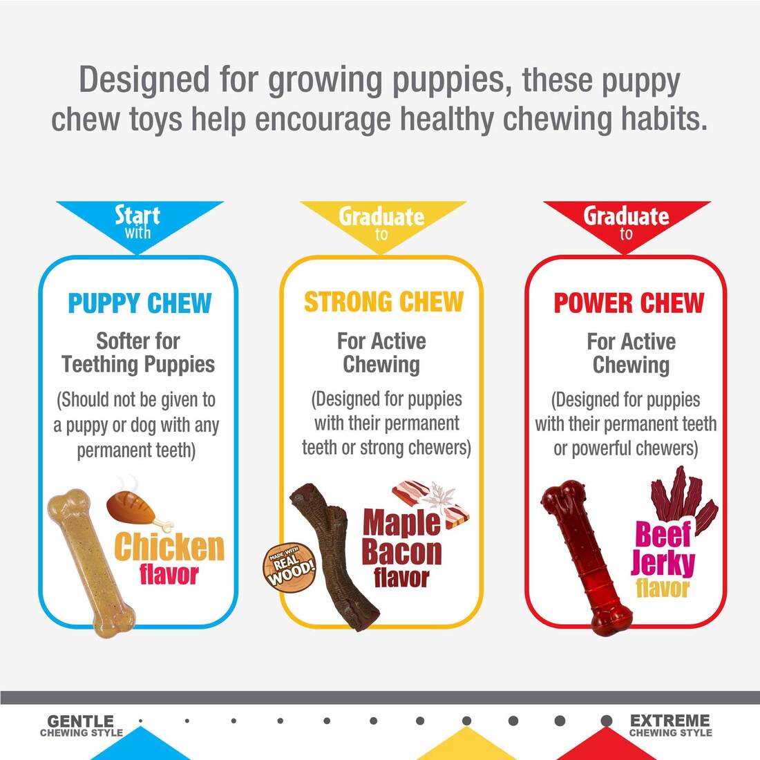 Nylabone Puppy Chew Stages Triple Chew Toy Pack, Medium/Wolf, 3 Count